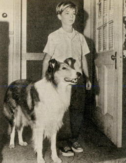 Tommy Rettig als Jeff Miller mit Fernsehhund Lassie