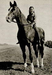 Vilma und ihr Pferd King
